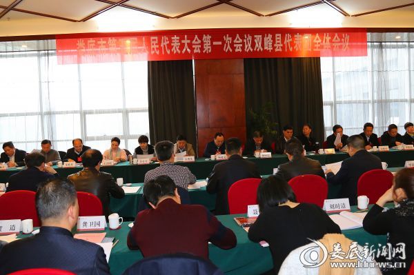 图为双峰县代表团讨论现场