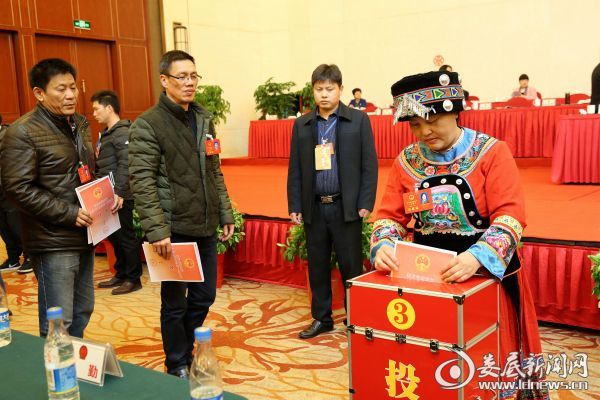 （代表投票现场）