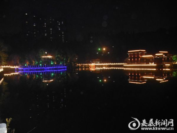 DSCN7084