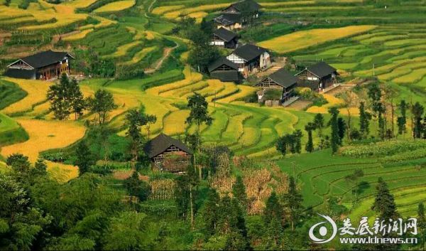 图为紫鹊界景区乡村风光-5