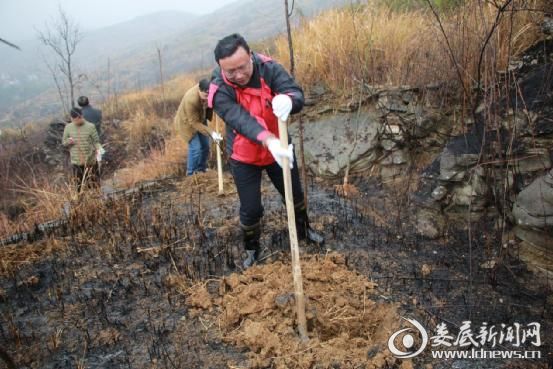 党委书记梁新辉植树活动现场