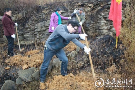 副院长谢祖勤植树活动现场