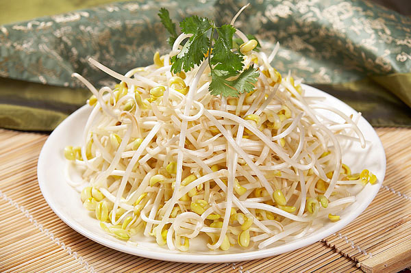 黄豆芽怎么发最快又好又粗 1487472924247.jpg