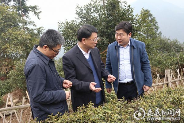 在川岰瓜卢山茶叶种植合作社，何文君详细了解扶贫政策落实情况