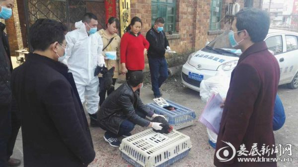 （图为万宝镇工作人员正在对家禽养殖场进行抽样检测）