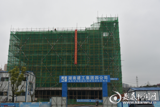 图片1