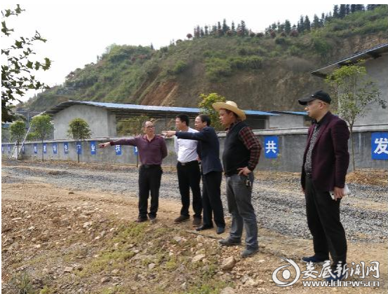 现场视察指导