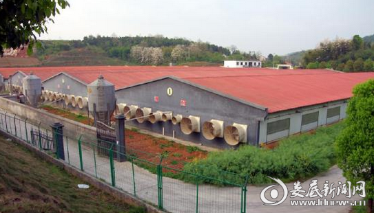 图为湘村高科股份有限公司养殖基地
