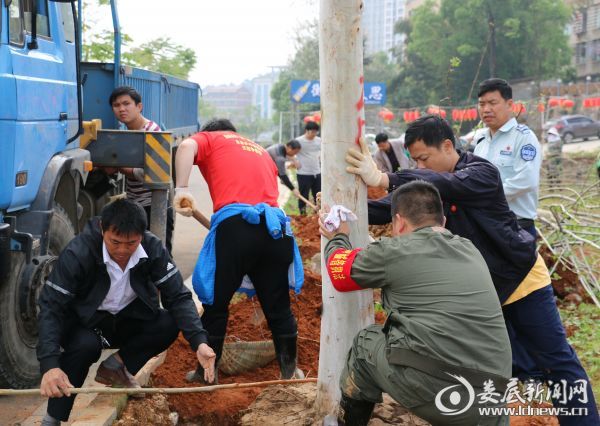 栽植大树场景