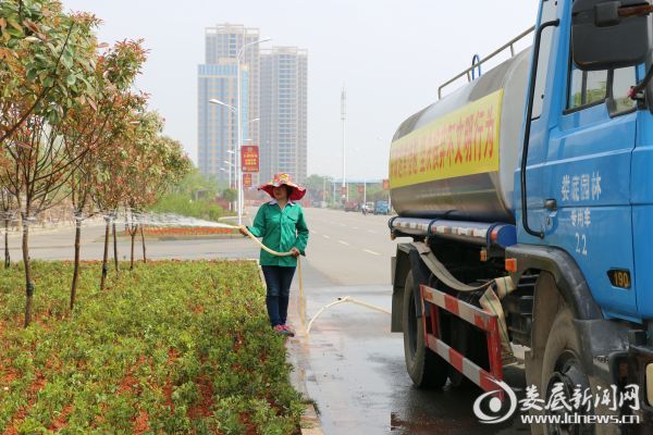 栽后浇水