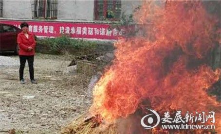 烧毁罂粟现场