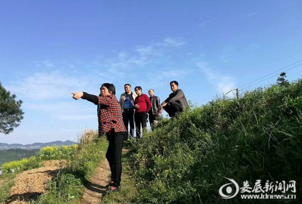 村民热心为镇长介绍村里情况