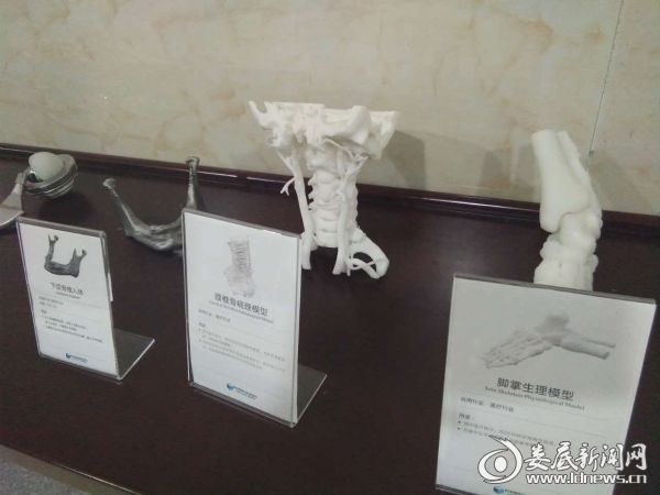 3D打印实体模型