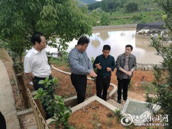 尚斌在吉庆镇油溪桥村调研 - 副本