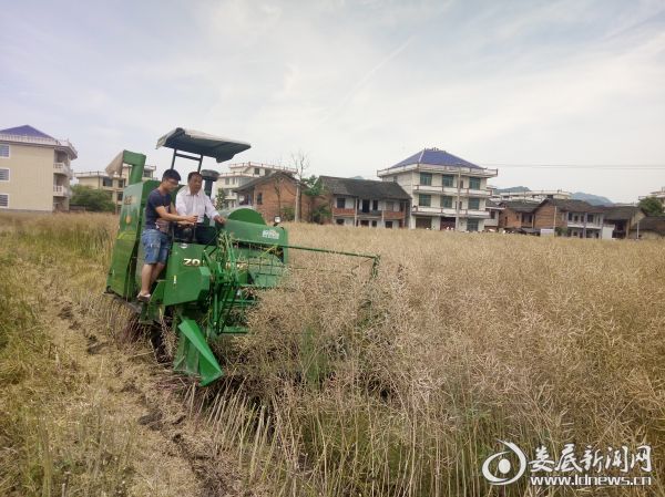 县农机局局长傅斌克现场操作演示