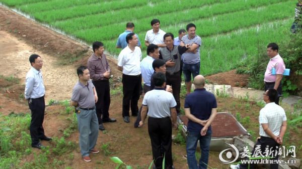 察看村民安全饮水工程项目