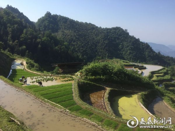 QQ图片20170531093033