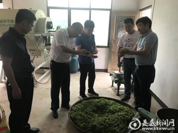 邓伟一行在渠江源村瓜芦山茶叶种植专业合作社