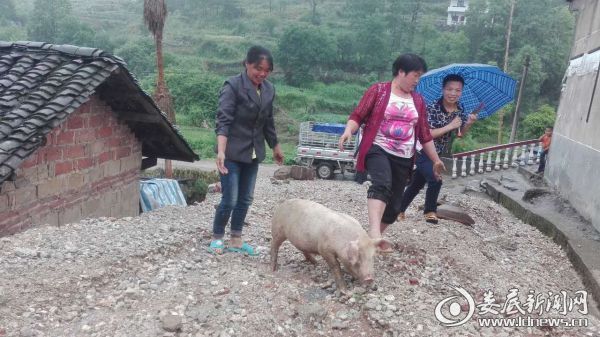 困难户喜笑颜开