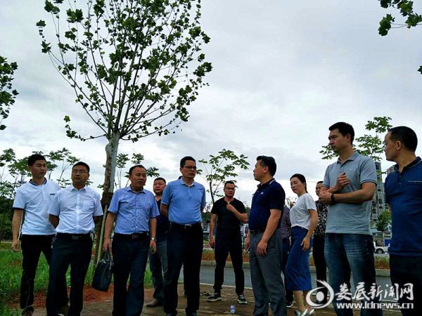 mmexport1497407089636_副本