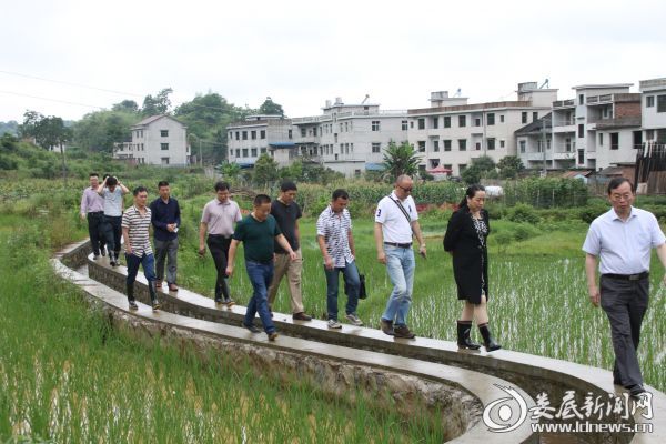 李有才一行人在新玉峰村扶贫调研