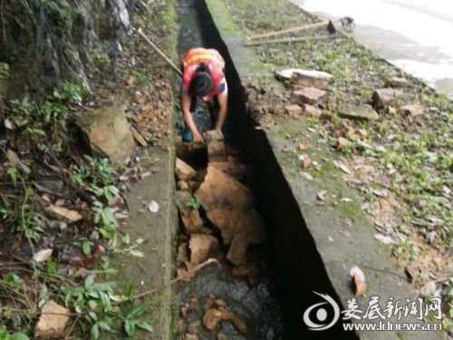 微信图片_20170630110147