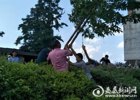 QQ图片20170703100412