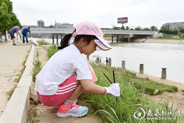 年仅4岁的小湉湉认真地用筷子夹垃圾