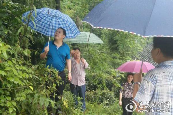 图（1）镇党委书记肖建军巡查山体滑坡