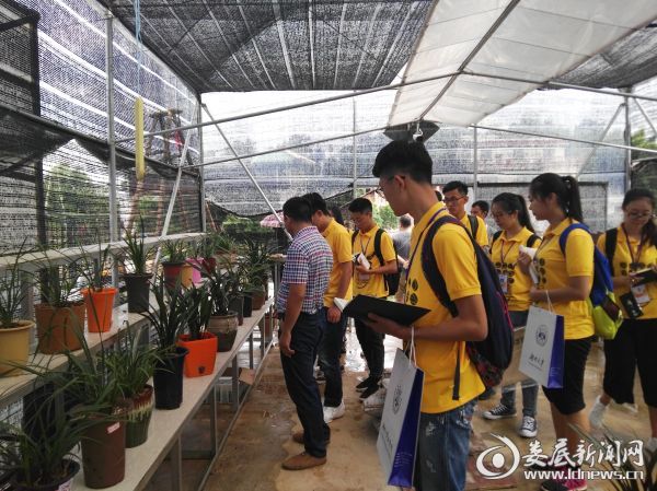 湖南大学法学院到洪山殿镇开展暑期社会实践调研