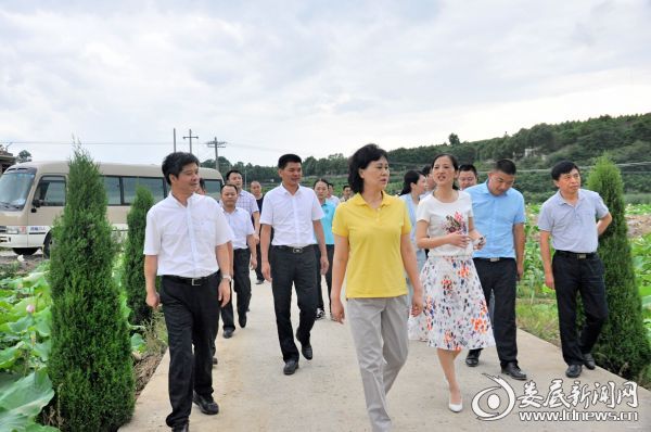 黄兰香一行调研锁石镇荷花种植基地