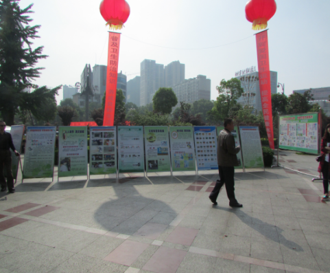 爱国卫生月广场宣传活动七（宣传展板二区）