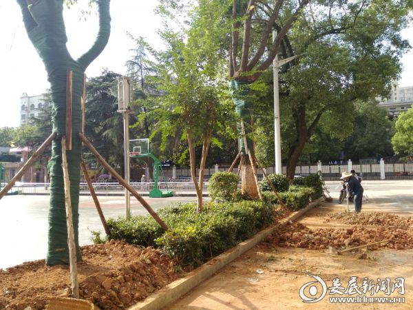 QQ图片20170720092857