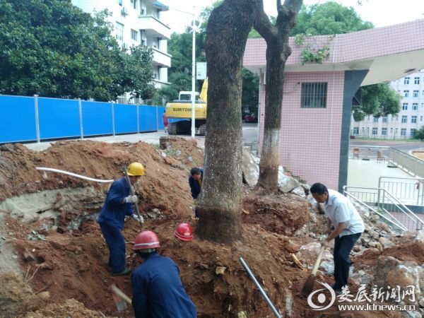 QQ图片20170719102406