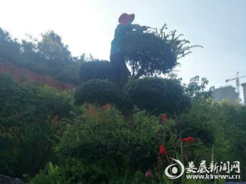QQ图片20170807110037