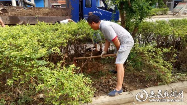 清理绿化带