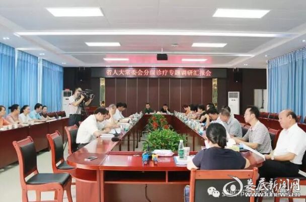 分级诊疗专题汇报会现场