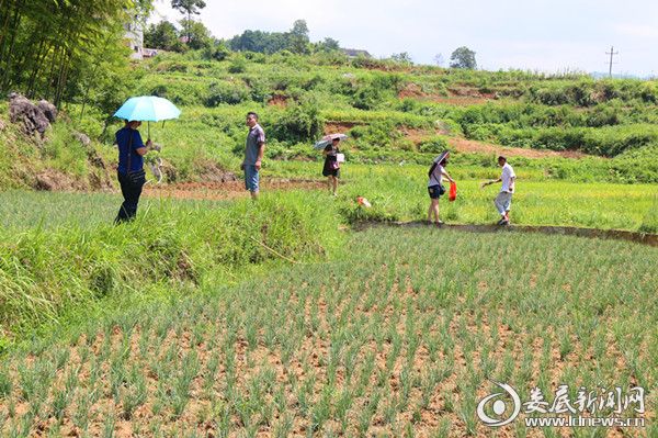 农业部门在基地抽样