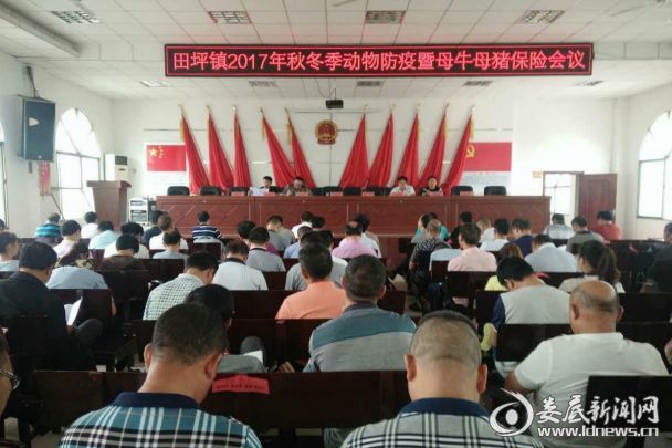 会议现场