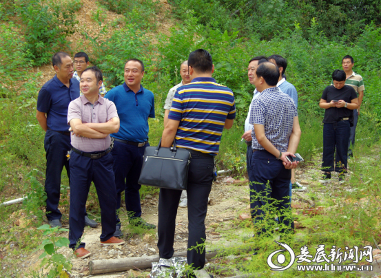 图为调研督查组在娄星区开展工作