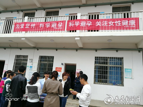 图片1