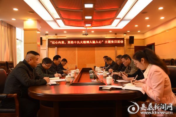 红心向党党的十九大精神入脑入心主题活动