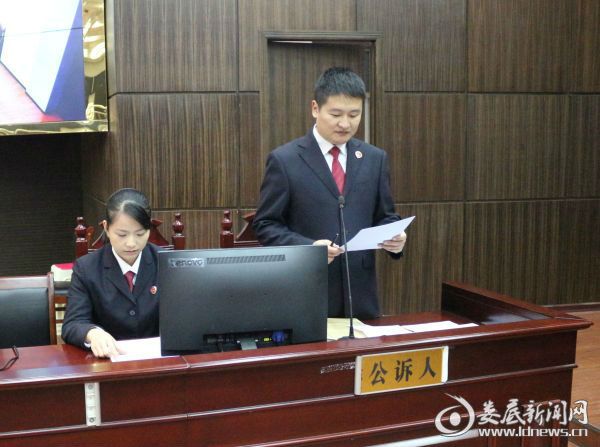 公诉人发表意见 (1)