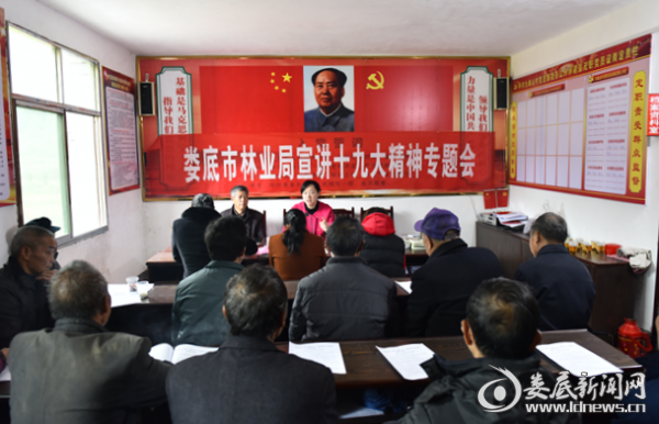 QQ图片20171115145050