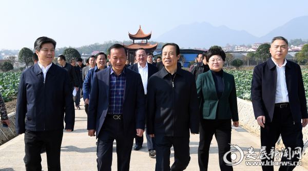 （省委副书记、省长许达哲一行考察桥头河蔬菜基地）