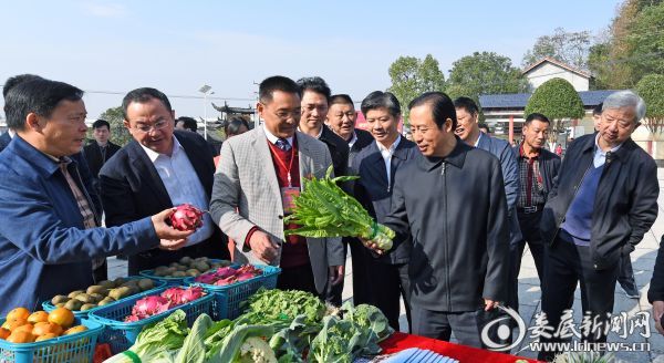 （省委副书记、省长许达哲一行在娄底经开区大埠桥街道办事处中阳村，考察美丽乡村示范片区建设情况）