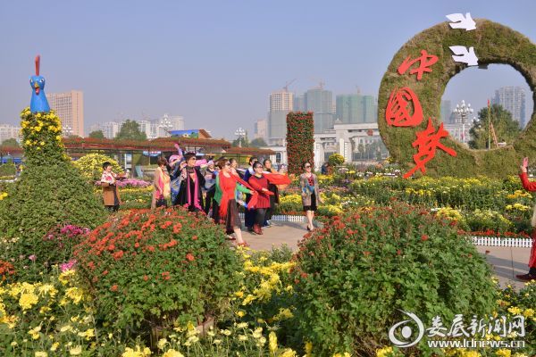 花展受到广大市民关注5
