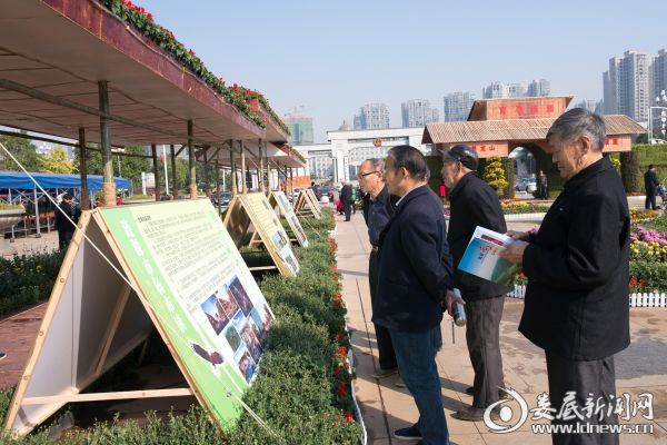 花展受到广大市民关注4