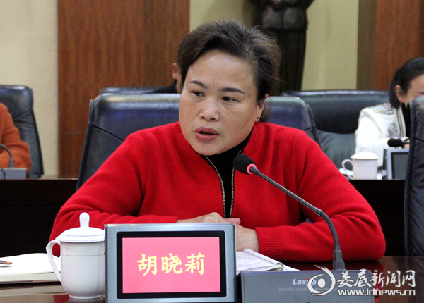 湖南省国际工程咨询公司胡晓莉处长讲话