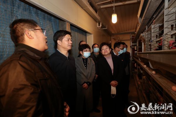 在枫坪镇三角村，李荐国参观了企业的全自动化家禽养殖生产线